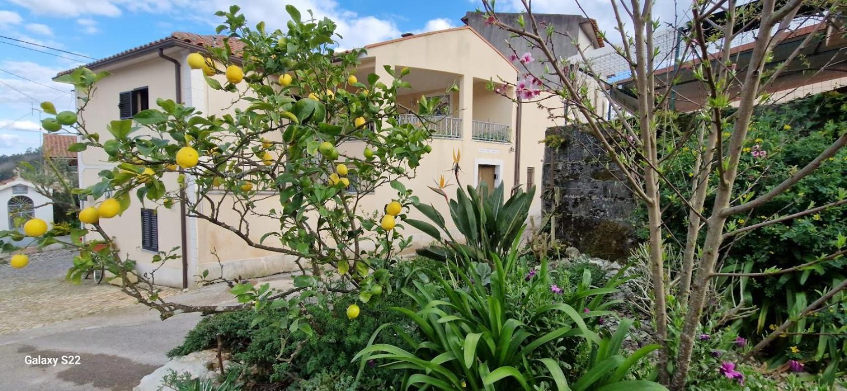 Villa Casa Dos Amigos Ansião Exterior foto